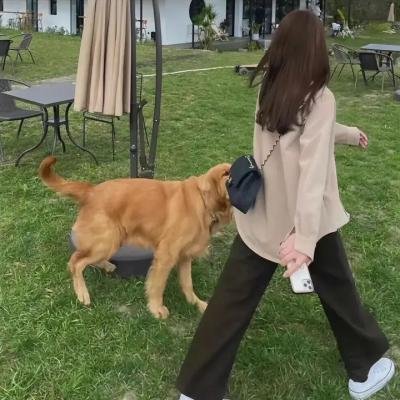 三小一家人